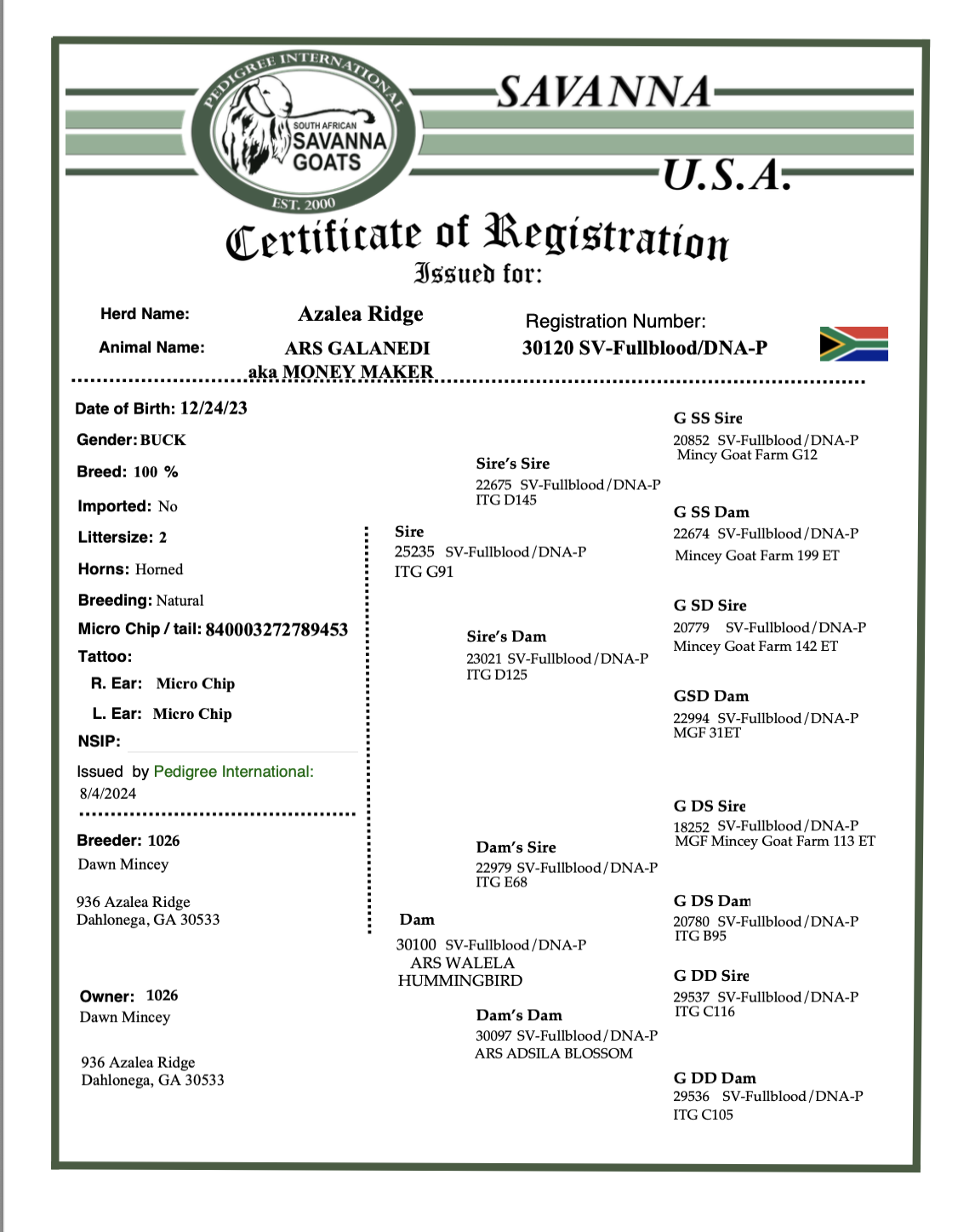 Screenshot 2025-07-07 at 7.47.39 AM